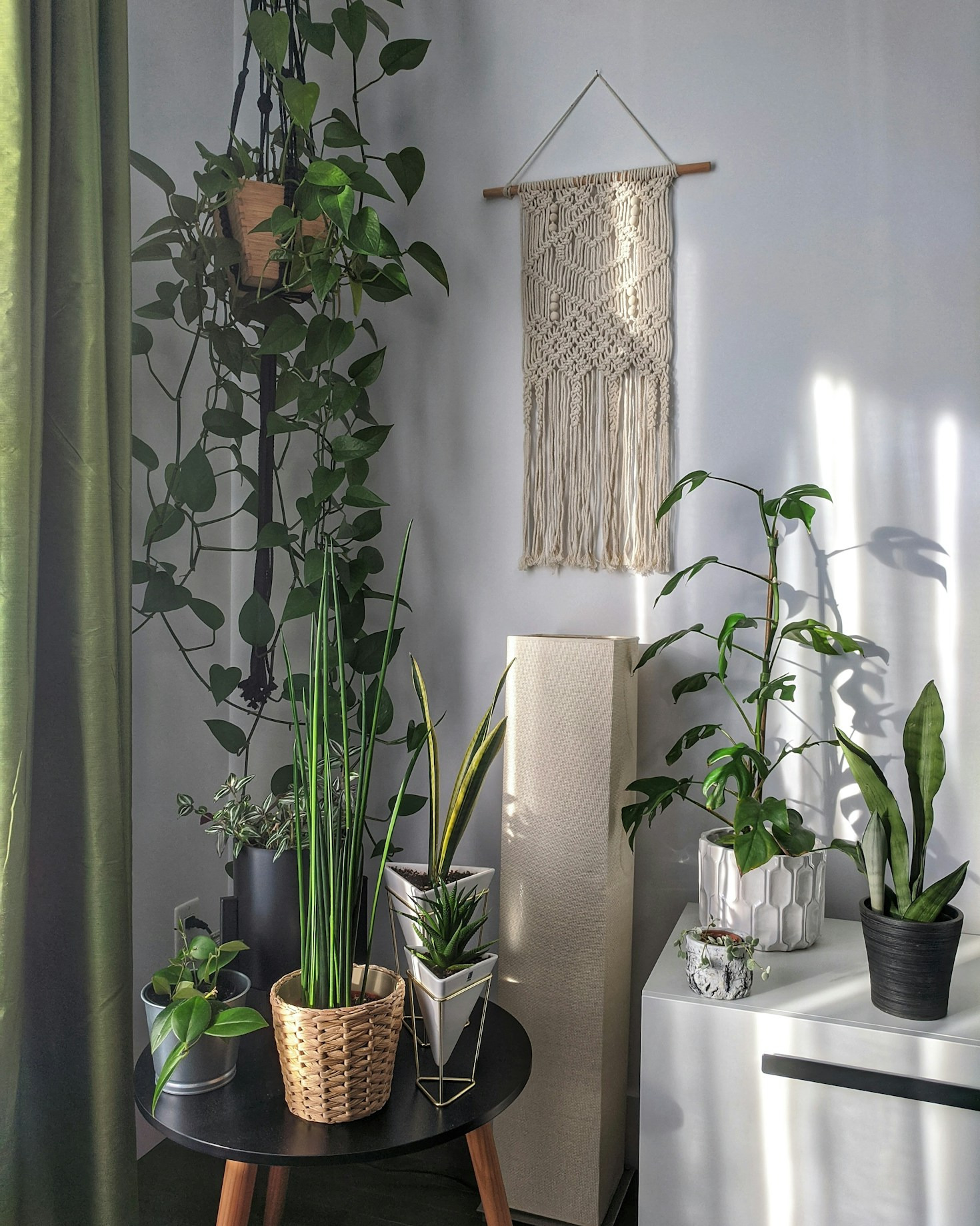 Naturen som inspiration i ditt hem